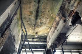 Best Post-Construction Mold Inspection  in Morgantown, PA